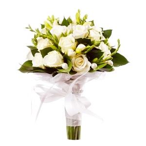 .     . Belflower -    .     .